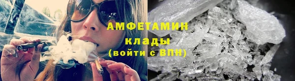 сатива Архангельск