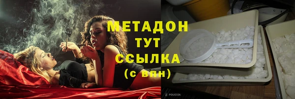 сатива Архангельск