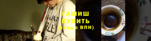 сатива Архангельск