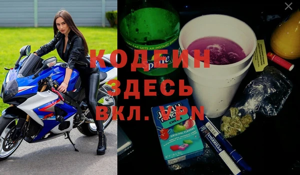 сатива Архангельск