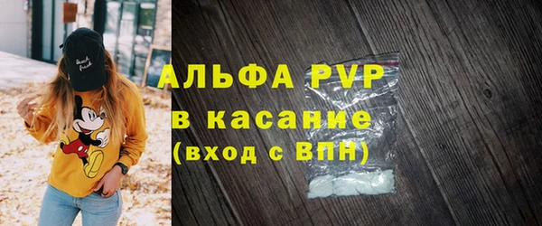 сатива Архангельск