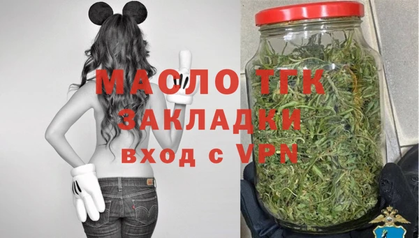 сатива Архангельск