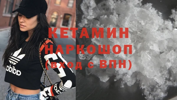 сатива Архангельск