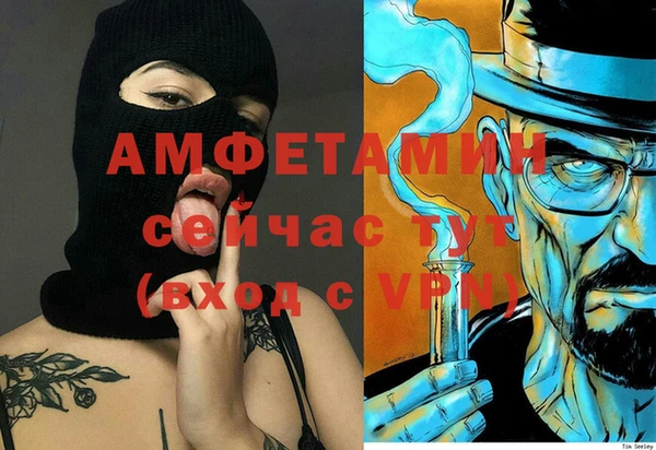 сатива Архангельск