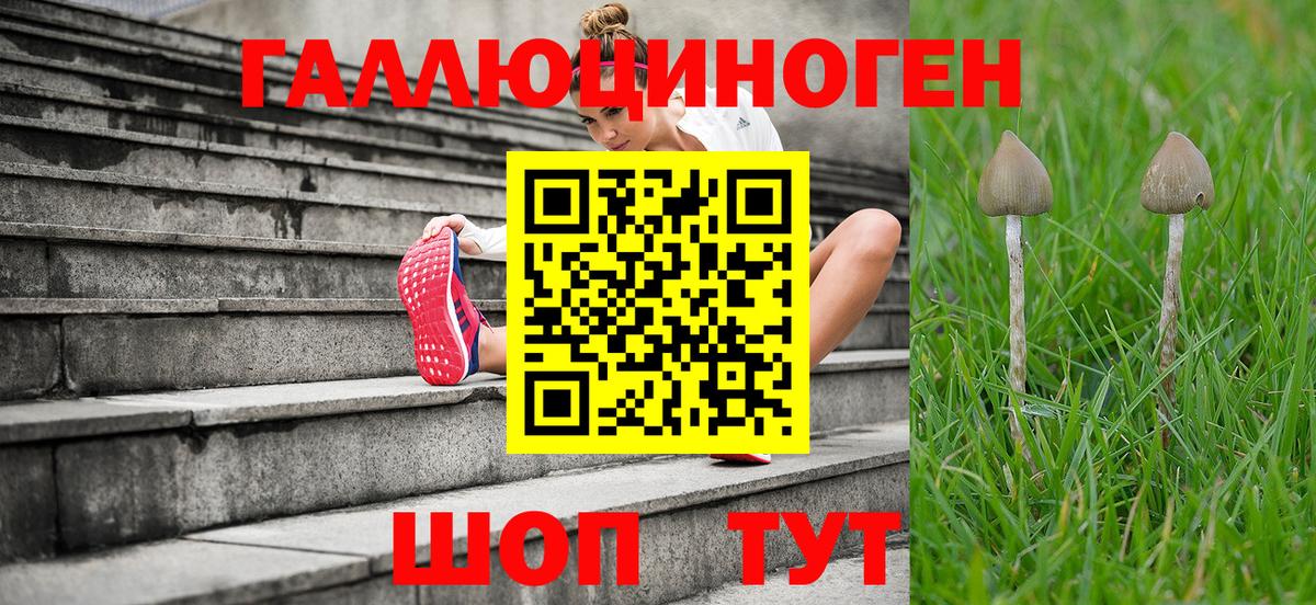 Псилоцибиновые грибы MAGIC MUSHROOMS  купить наркоту  Вход с VPN  Богородск  Псилоцибиновые грибы GOLDEN TEACHER 