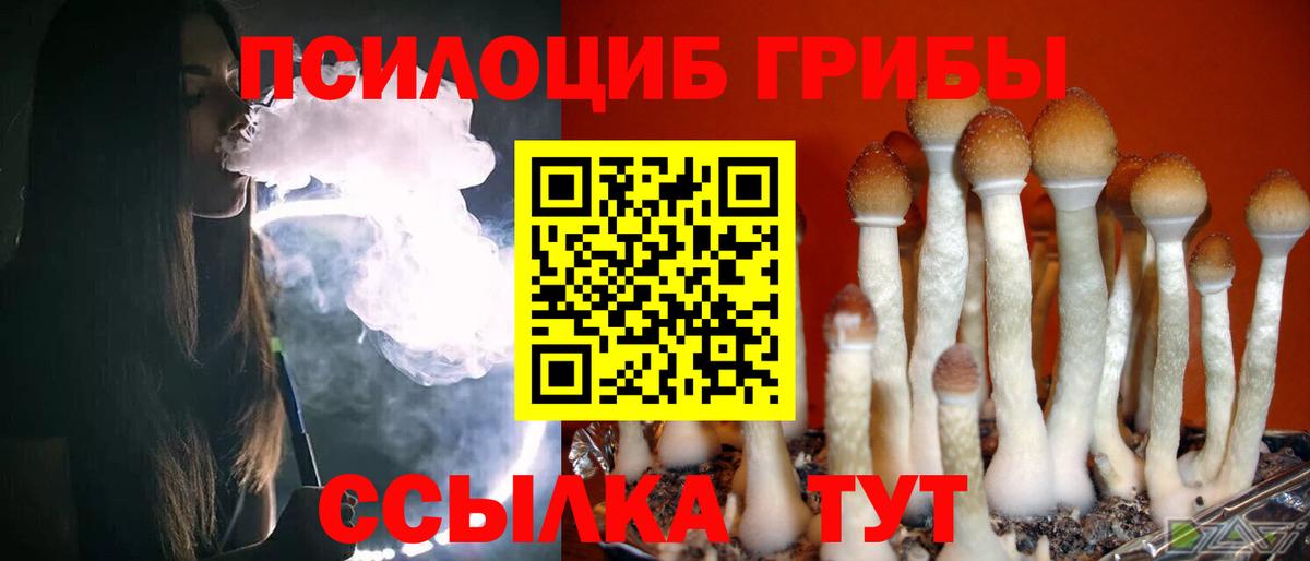 Галлюциногенные грибы ЛСД Богородск
