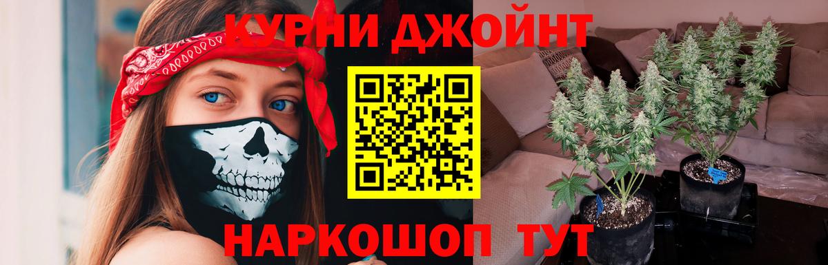 Конопля гибрид  Богородск  Бошки марихуана SATIVA & INDICA 